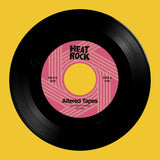 VINYL | HR-013 | KILLER SWARMS